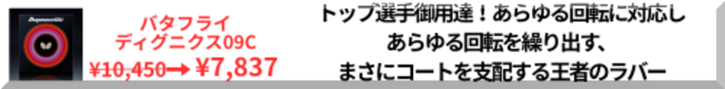 ディグ09C